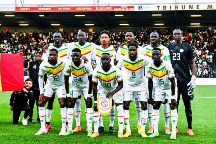 Amicaux Internationaux : Les Lions joueront le Mali et le Cameroun 